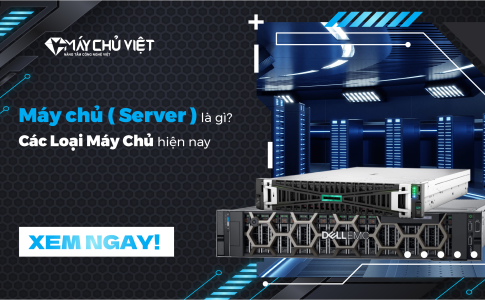 May Chu La Gi Server La Gi