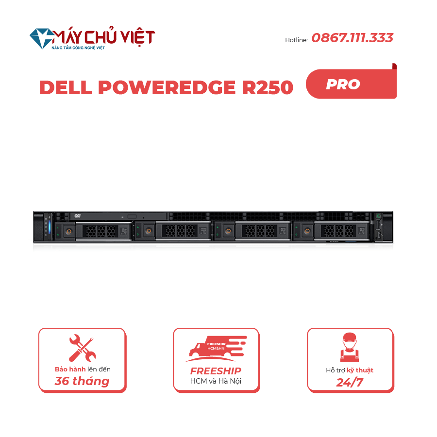 Máy chủ Dell PowerEdge R250