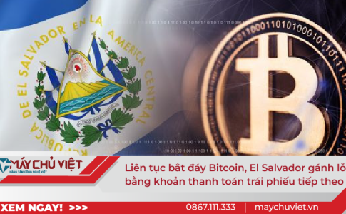 Liên tục bắt đáy Bitcoin, El Salvador gánh lỗ bằng khoản thanh toán trái phiếu tiếp theo