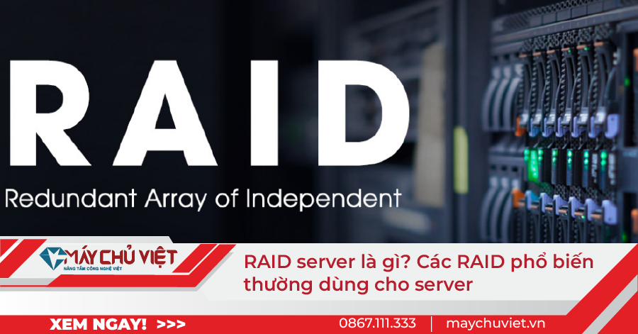 RAID server là gì? Các RAID phổ biến thường dùng cho server