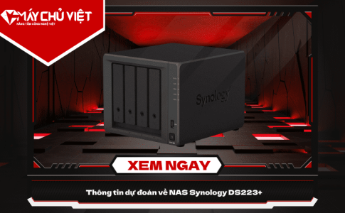 Nas Synology Ds223+
