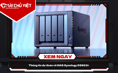 Nas Synology Ds923+