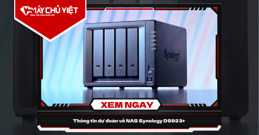 Nas Synology Ds923+