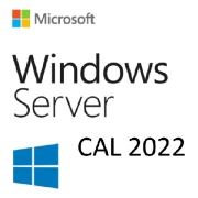 Windows Server 2022 CAL - 1 User CAL - 1 year