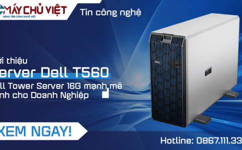 Server Dell T560
