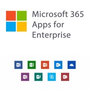 Microsoft 365 Apps For Enterprise - 12 Months