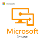 Microsoft Intune - 12 Months