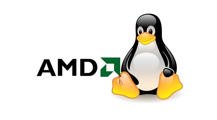 Su Co Trinh Dieu Khien Do Hoa Amd Tren Linux 1