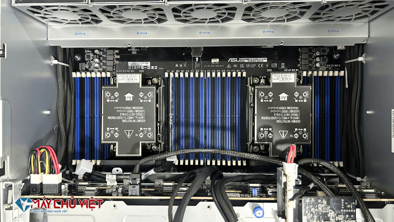 May Chu Asus Esc8000 E11 1