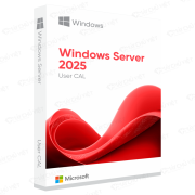 Microsoft Windows Server 2025 - 1 User CAL