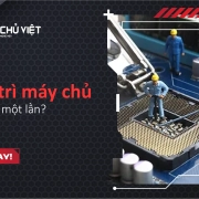 Nên bảo trì máy chủ bao lâu một lần?