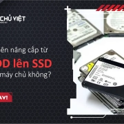 Có nên nâng cấp từ HDD lên SSD cho máy chủ không? 
