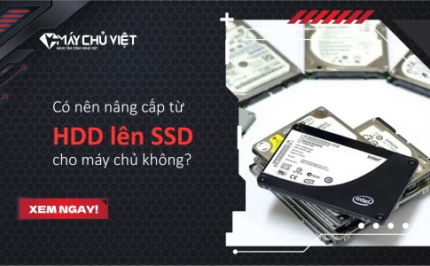Có nên nâng cấp từ HDD lên SSD cho máy chủ không? 