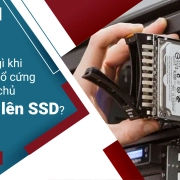 Cần biết gì khi nâng cấp ổ cứng cho máy chủ từ HDD lên SSD?