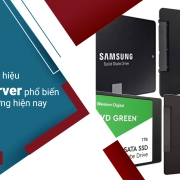 Các thương hiệu SSD server phổ biến trên thị trường hiện nay