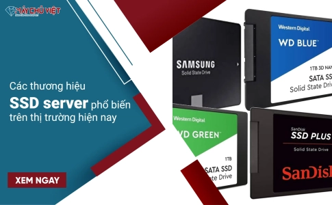 Các thương hiệu SSD server phổ biến trên thị trường hiện nay