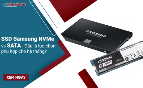 SSD Samsung NVMe vs SATA - Đâu là lựa chọn phù hợp cho hệ thống?