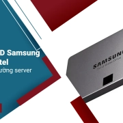 So sánh SSD Samsung với SSD Intel trong môi trường server