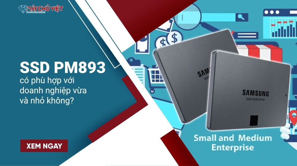 SSD PM893 có phù hợp với doanh nghiệp vừa và nhỏ không?
