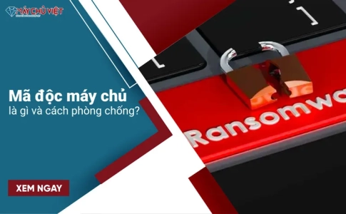 Mã độc máy chủ là gì và cách phòng chống