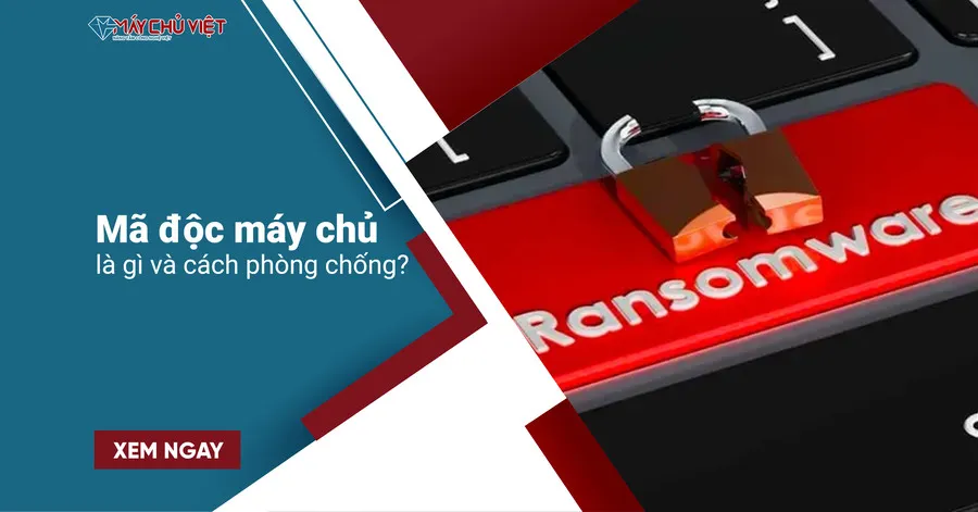 Mã độc máy chủ là gì và cách phòng chống