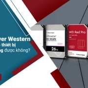 HDD server Western có dùng cho thiết bị thông thường được không?