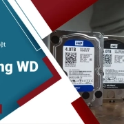 Máy Chủ Việt cung cấp HDD server Western Digital chính hãng