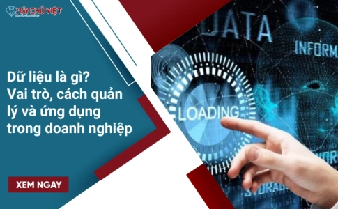 Dữ liệu là gì? Vai trò, cách quản lý và ứng dụng trong doanh nghiệp