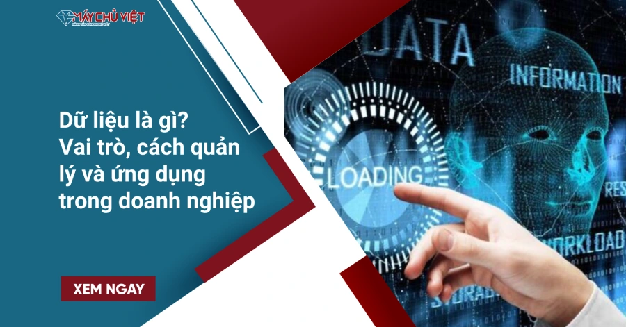 Dữ liệu là gì? Vai trò, cách quản lý và ứng dụng trong doanh nghiệp