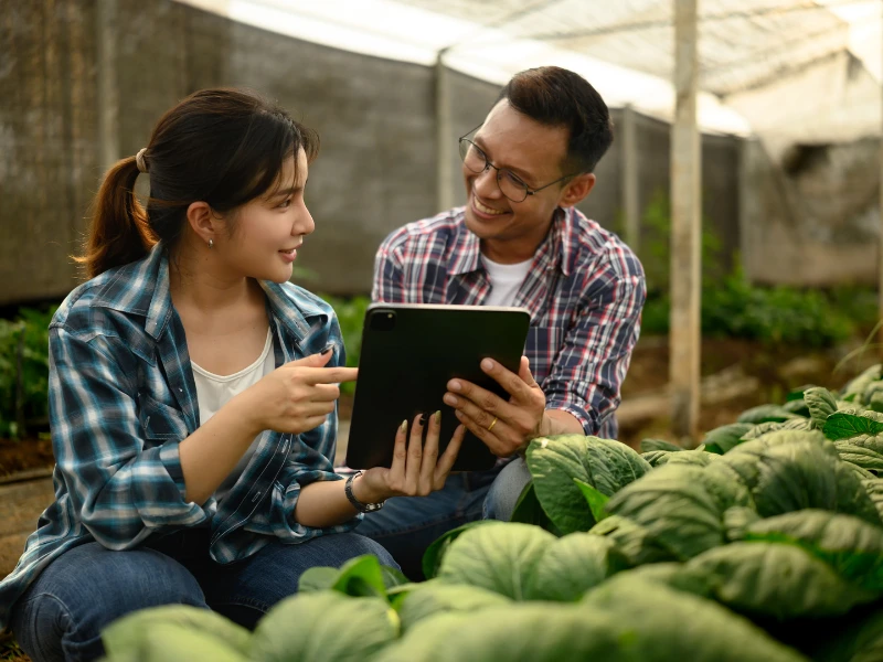 Thiết bị IoT là gì? Giải pháp kết nối thông minh hiện đại cho doanh nghiệp