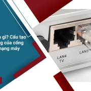 Cổng LAN là gì? Cấu tạo và chức năng của cổng LAN trong mạng máy tính