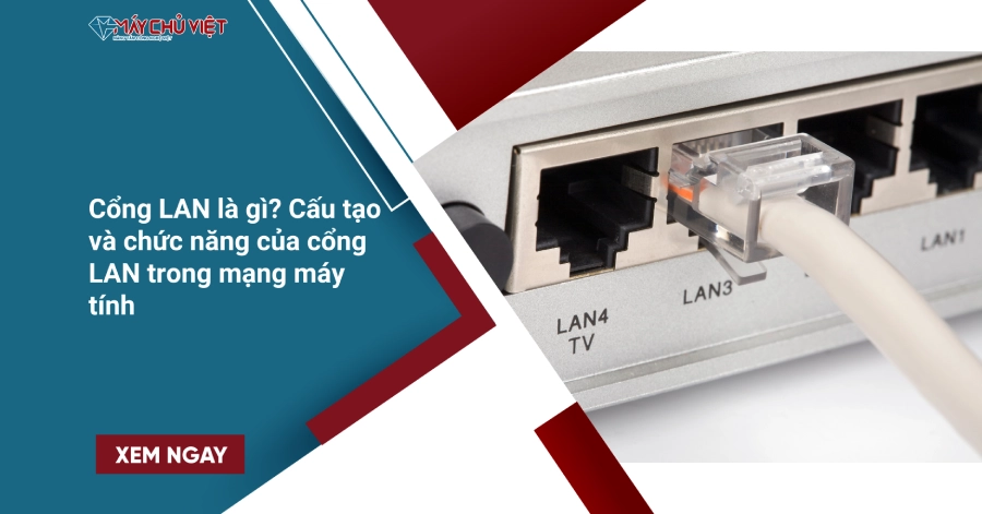 Cổng LAN là gì? Cấu tạo và chức năng của cổng LAN trong mạng máy tính