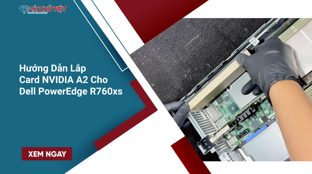 Card NVIDIA A2 Cho Dell PowerEdge R760xs