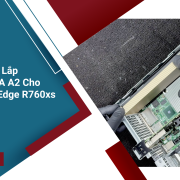 Hướng Dẫn Lắp Card NVIDIA A2 Cho Dell PowerEdge R760xs 