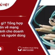 LAN là gì? Tổng hợp thông tin về mạng LAN dành cho doanh nghiệp và người dùng