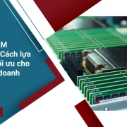 Server RAM Capacity: Cách lựa chọn và tối ưu cho hệ thống doanh nghiệp