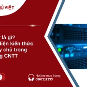 Server là gì? Toàn diện kiến thức về máy chủ trong hạ tầng CNTT