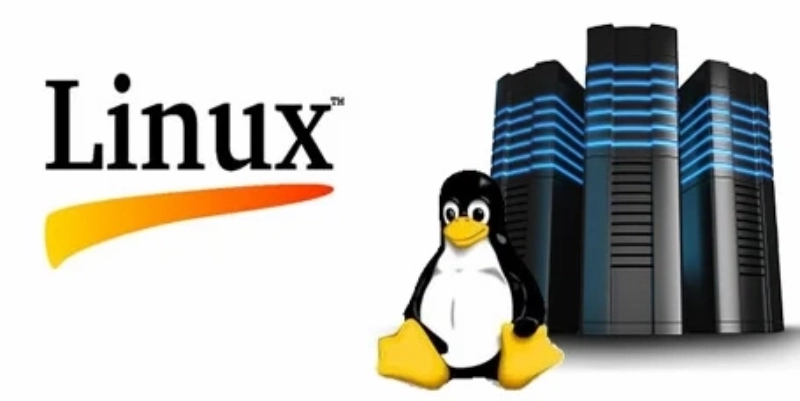 Server là gì? Toàn diện kiến thức về máy chủ trong hạ tầng CNTT